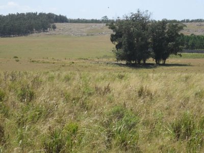 Lote en venta en Cerro Eguzquiza, Ideal para barrio privado e inversionistas.