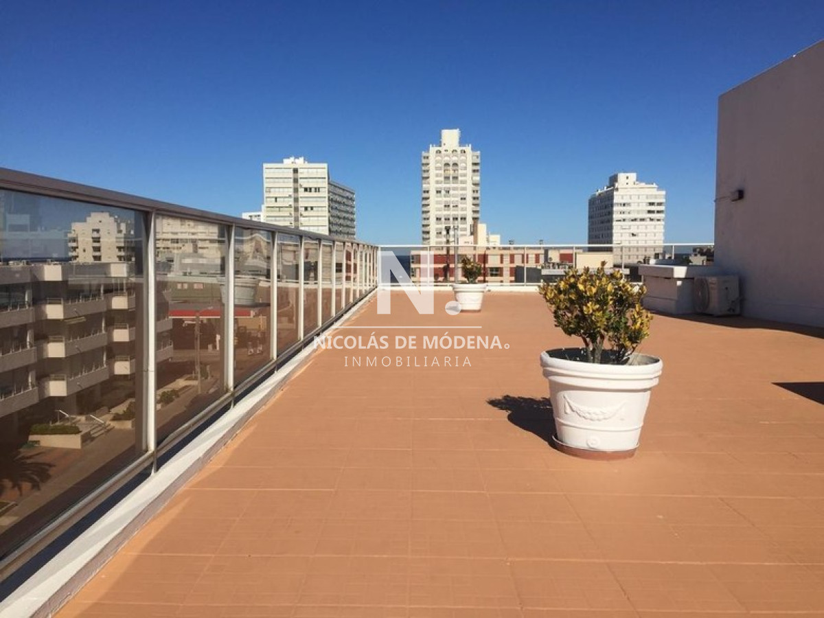 Península - GoPunta - Portal Inmobiliario de Punta del Este - Maldonado
