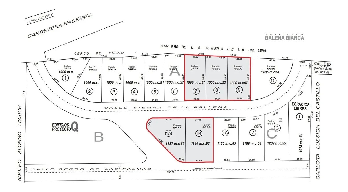 Terreno ID.3017 - Terreno en venta en Punta Ballena con vista panorámica al mar.