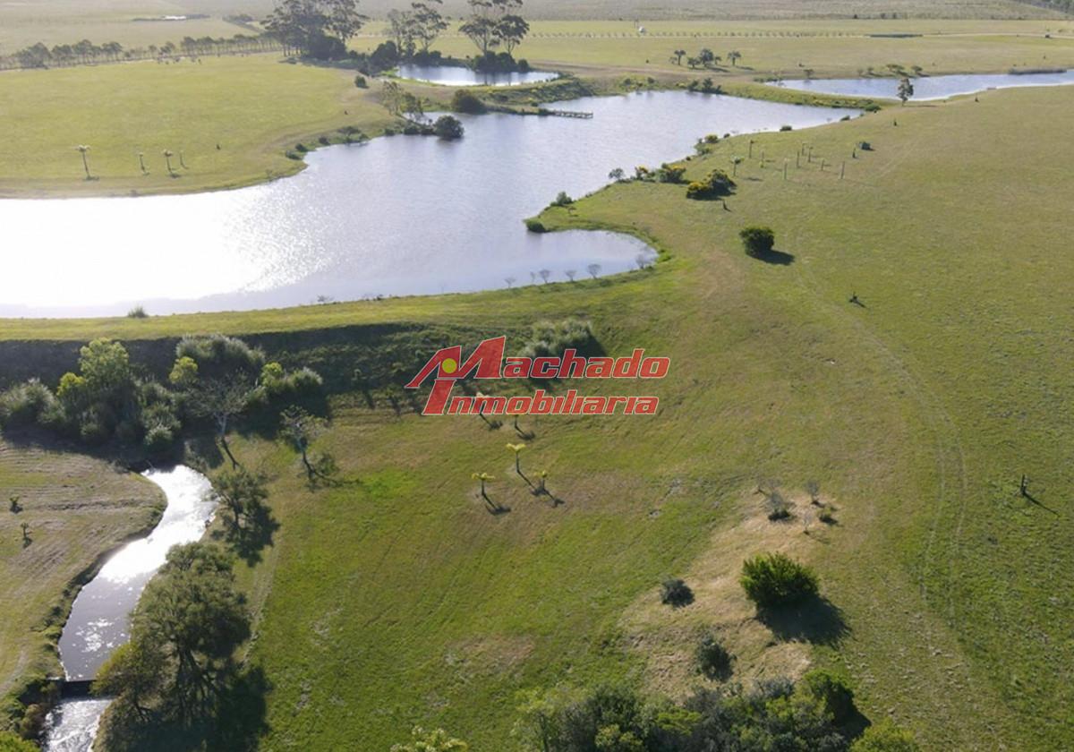 San Vicente - GoPunta - Portal Inmobiliario de Punta del Este - Maldonado