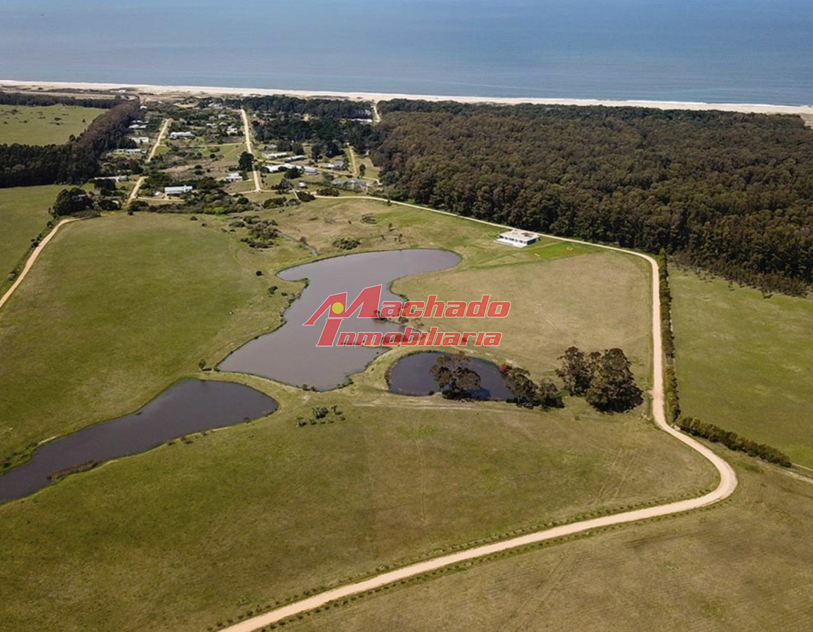 San Vicente - GoPunta - Portal Inmobiliario de Punta del Este - Maldonado