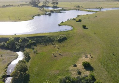 Lote en Venta en Lomas de San Vicente