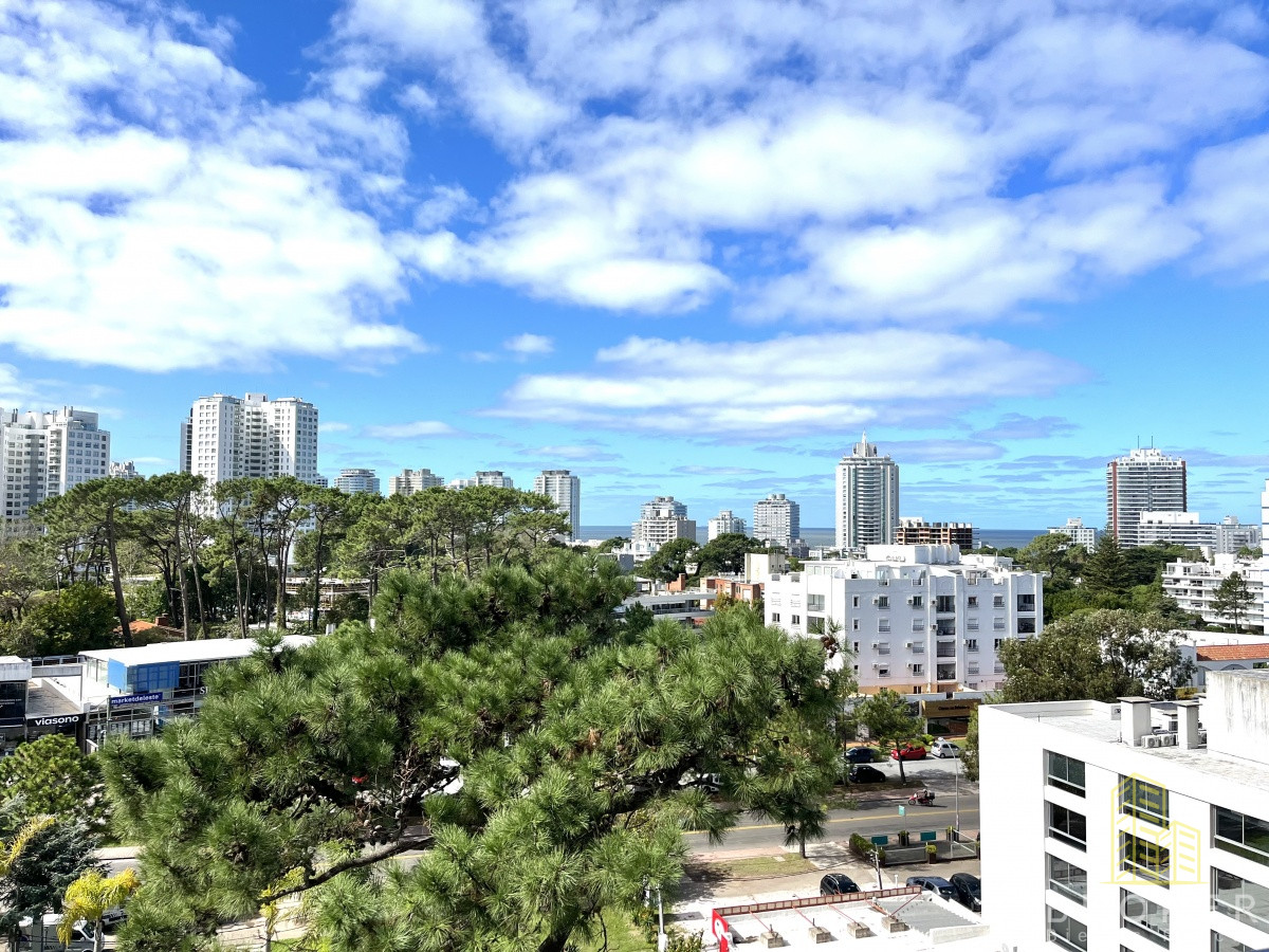 Aidy Grill - GoPunta - Portal Inmobiliario de Punta del Este - Maldonado