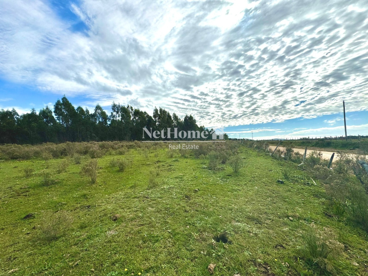 Terreno ID.630 - 20 Hectáreas en Venta en Sierra de los Caracoles