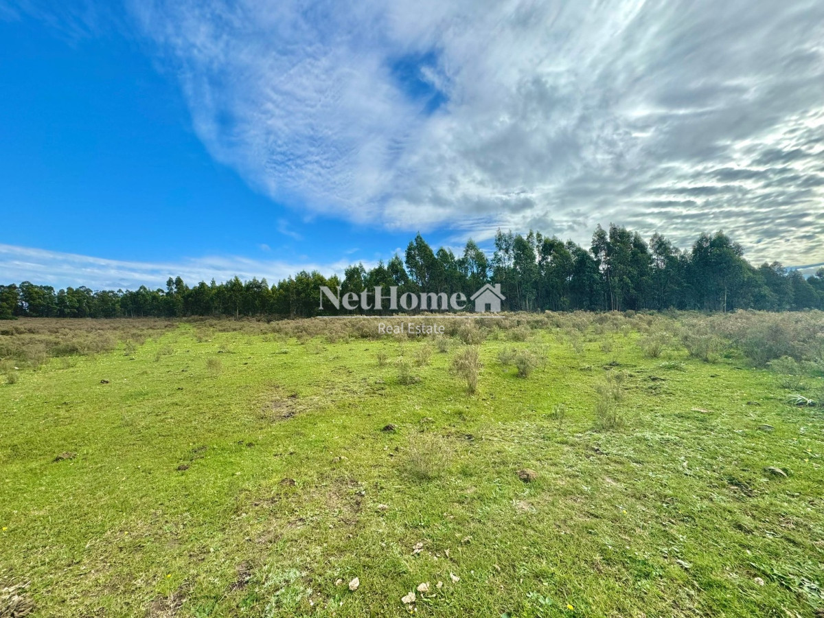 Terreno ID.630 - 20 Hectáreas en Venta en Sierra de los Caracoles