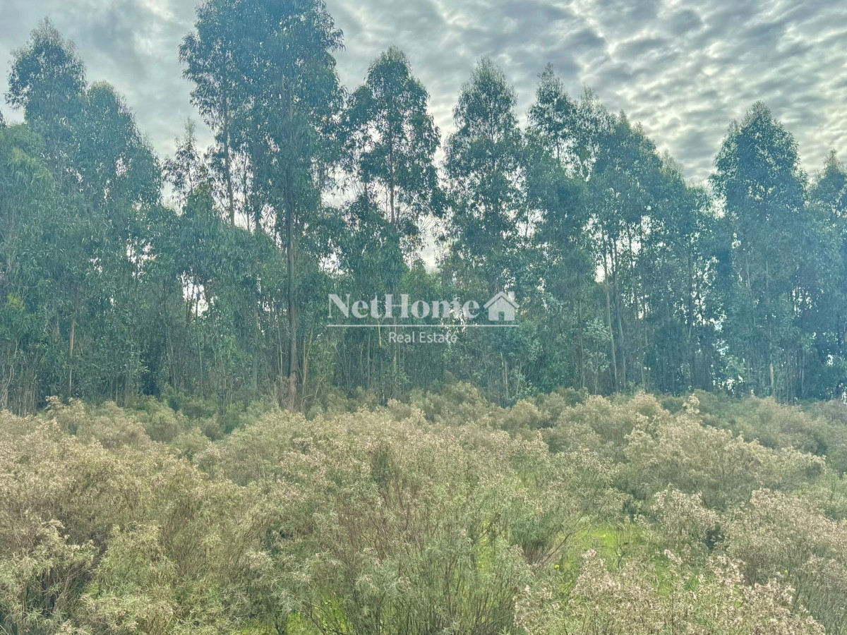 Terreno ID.630 - 20 Hectáreas en Venta en Sierra de los Caracoles