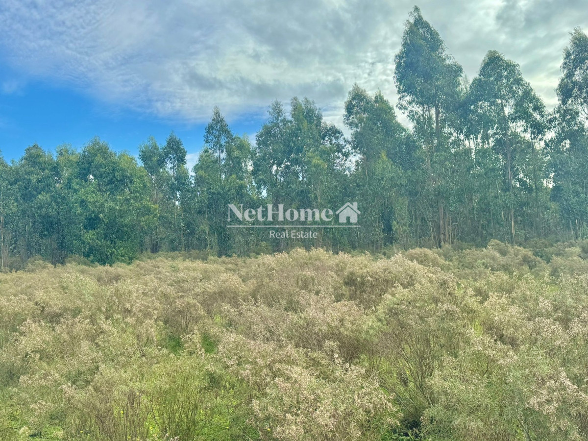 Terreno ID.630 - 20 Hectáreas en Venta en Sierra de los Caracoles
