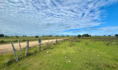 20 Hectáreas en Venta en Sierra de los Caracoles