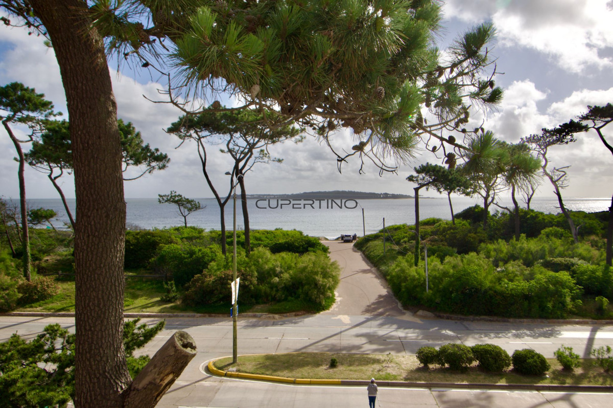 Apartamento ID.1462 - Apartamento de dos dormitorios con vista al mar en Playa Mansa