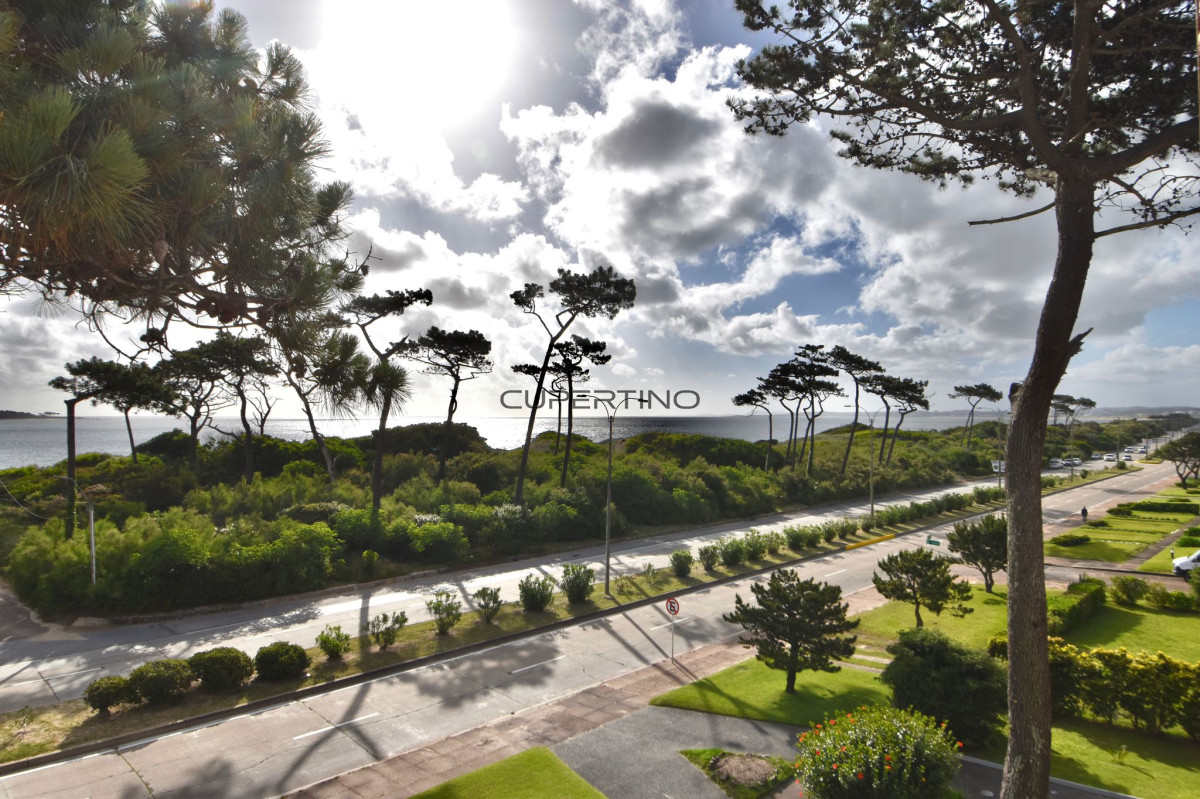 Apartamento ID.1462 - Apartamento de dos dormitorios con vista al mar en Playa Mansa