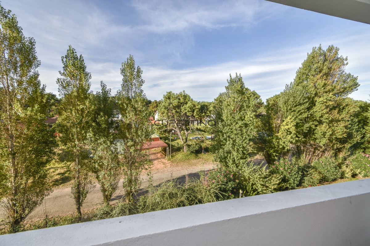 Apartamento ID.2067 - Excelente Apartamento de Tres Dormitorios frente al Mar - Punta Este
