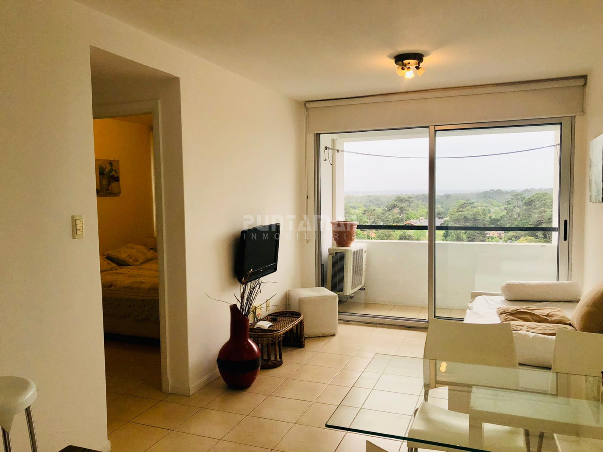 Apartamento ID.212977 - Venta departamento un dormitorio punta del este 