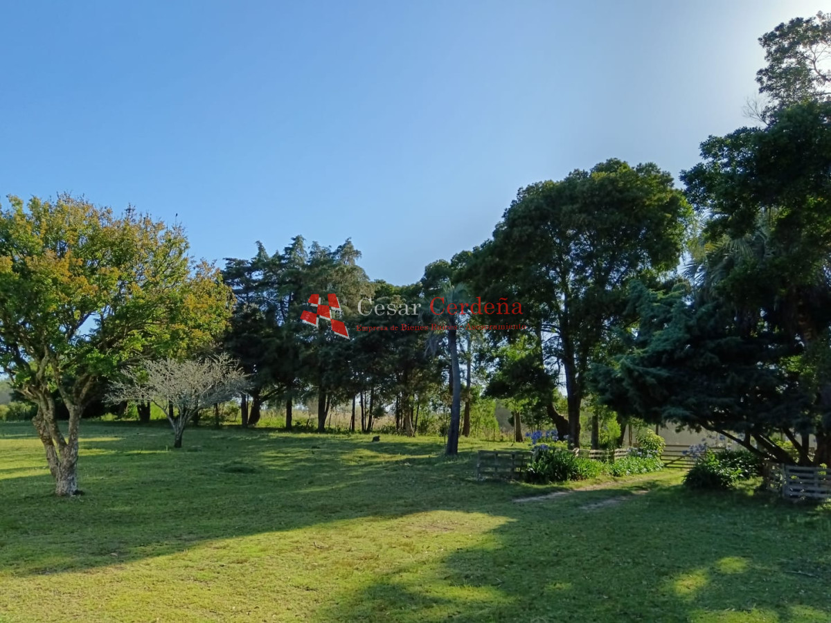 Chacra ID.1973 - VENTA - CHACRA de 2 HAS.  a 200m de ruta 9 