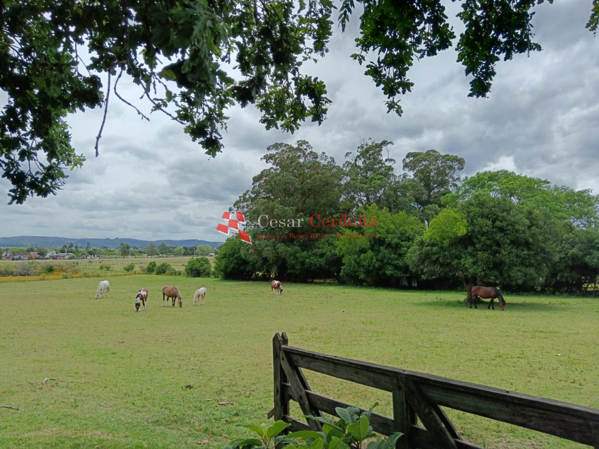 Chacra ID.1973 - VENTA - CHACRA de 2 HAS.  a 200m de ruta 9 