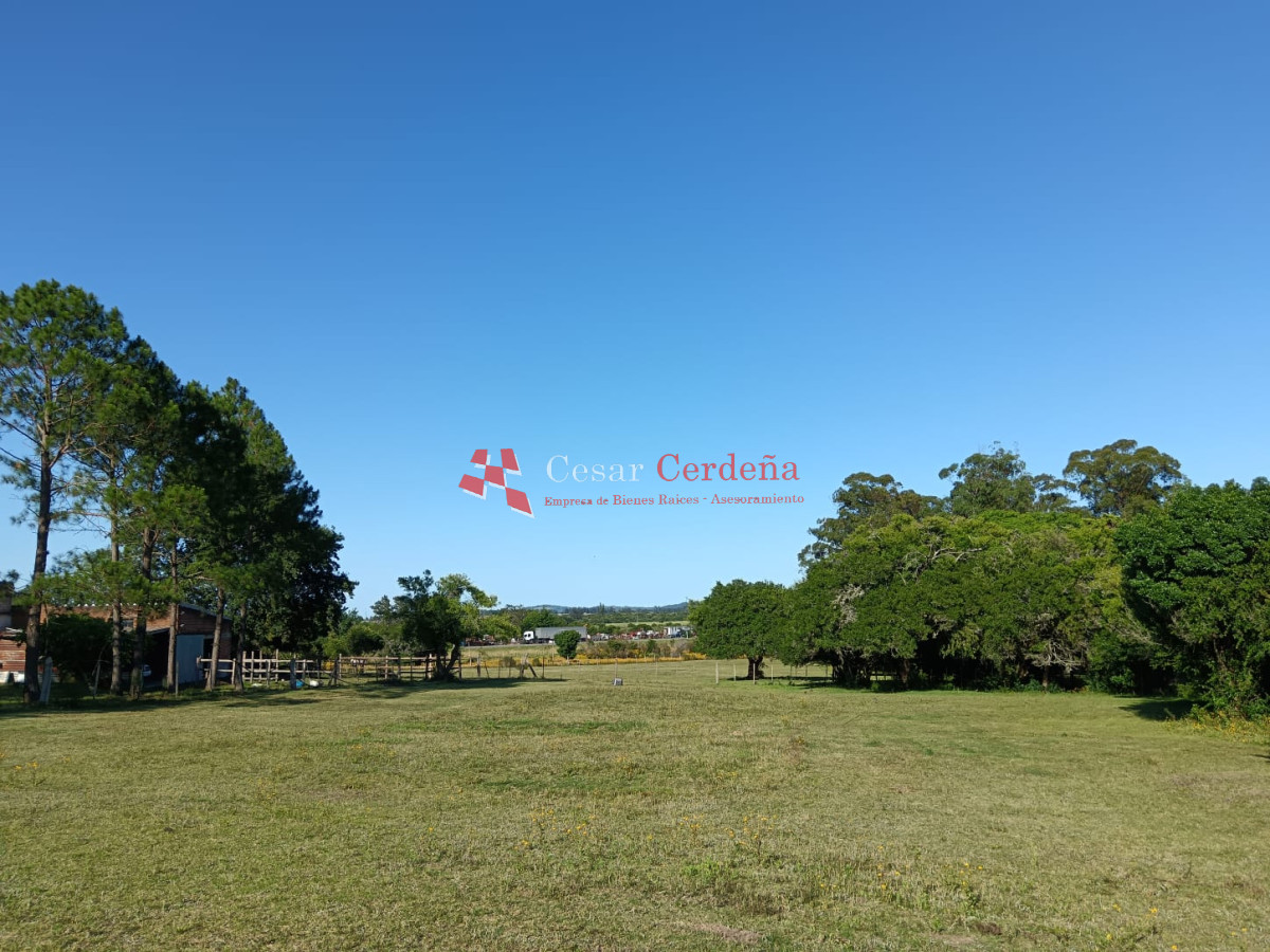 Chacra ID.1973 - VENTA - CHACRA de 2 HAS.  a 200m de ruta 9 