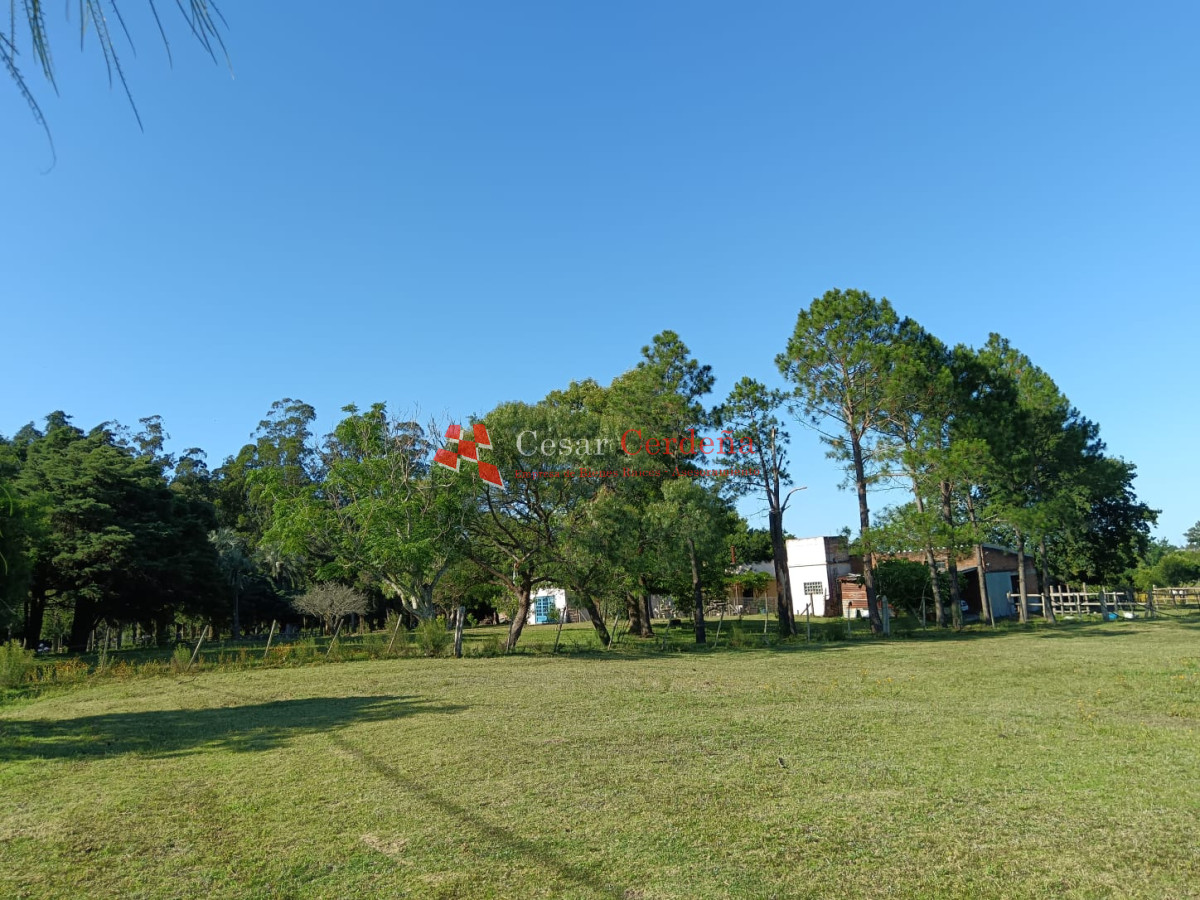 Chacra ID.1973 - VENTA - CHACRA de 2 HAS.  a 200m de ruta 9 