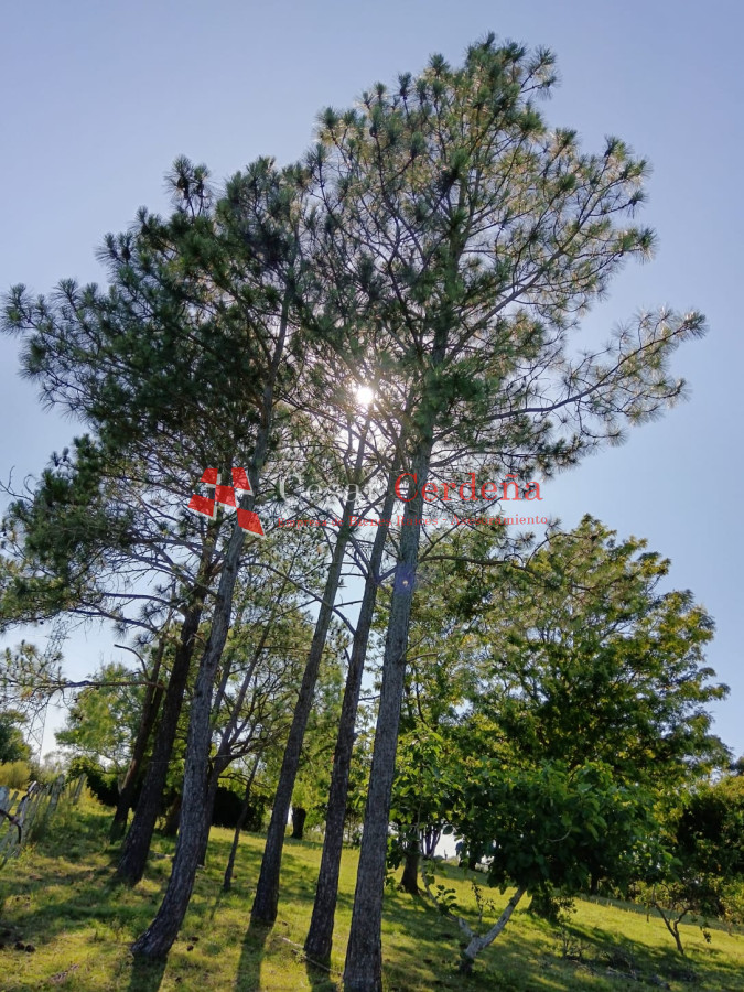 Chacra ID.1973 - VENTA - CHACRA de 2 HAS.  a 200m de ruta 9 