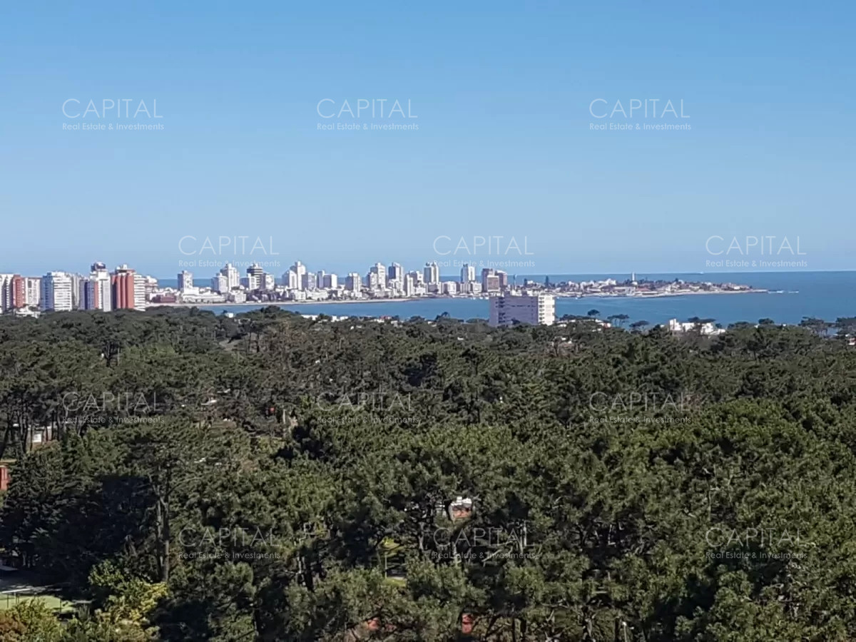 Apartamento ID.35212 - Apartamento en venta de un dormitorio con vista a Playa Mansa.