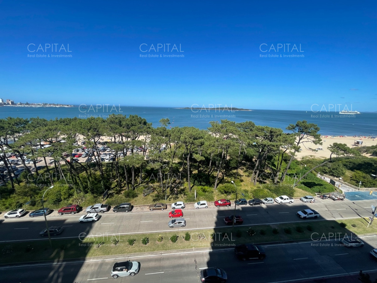 Apartamento ID.36605 - Excepcional semipiso Torre de Categoria frente a Playa Mansa