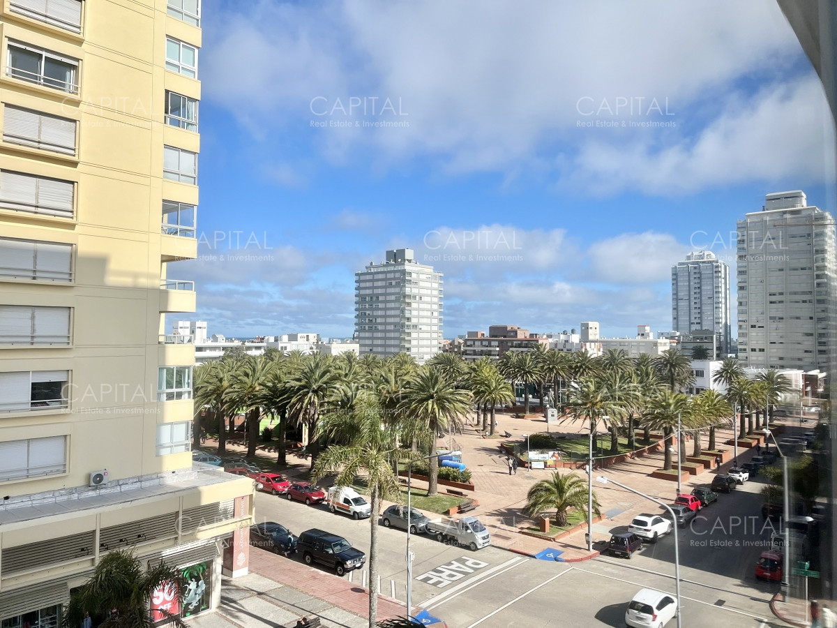 Apartamento ID.35038 - Deparatamento en Venta de un Dormitorio y Medio en Penínisula 