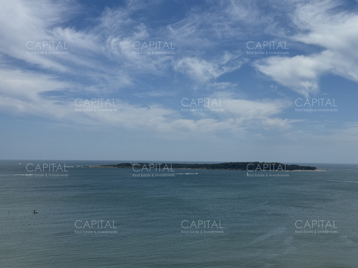 Apartamento ID.37573 - Penthouse Duplex en venta Playa Mansa Punta del Este.