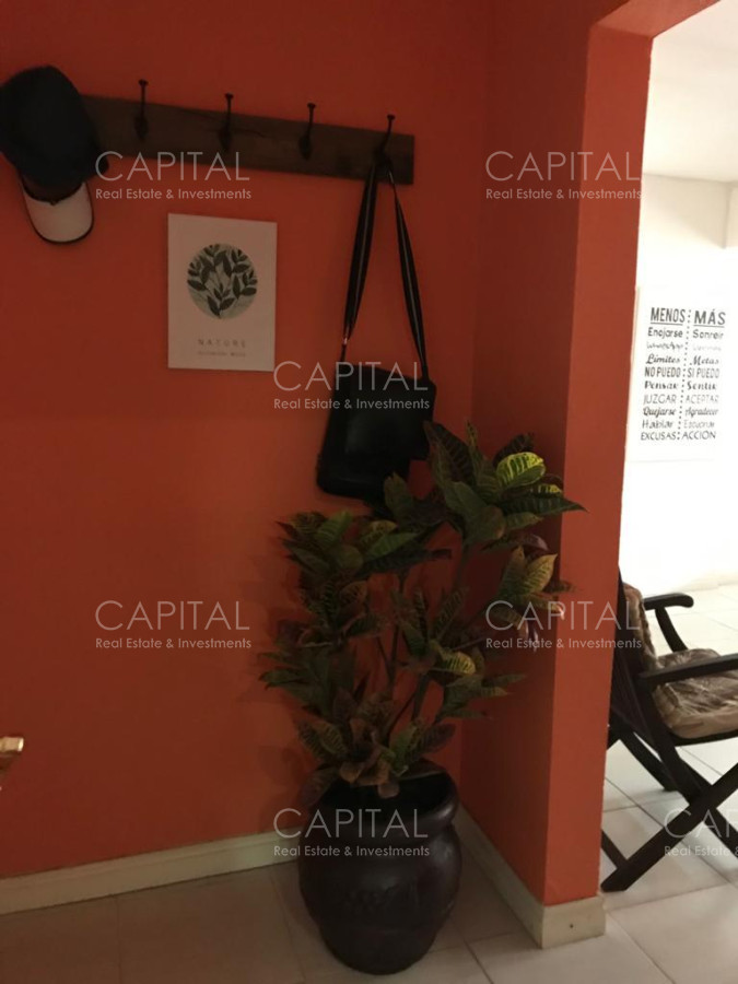 Apartamento ID.29292 - Aparamento en Alquiler de Temporada, Playa Mansa 