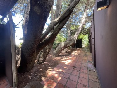 casa en venta en san rafael punta del este  - ccp35489c