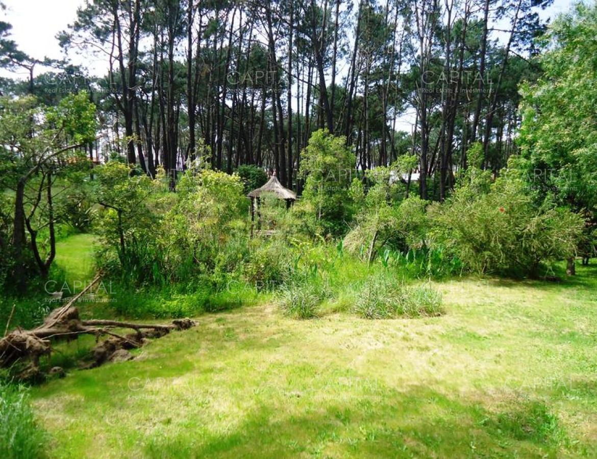 Casa ID.25497 - Cabaña en un entorno natural sin igual!!