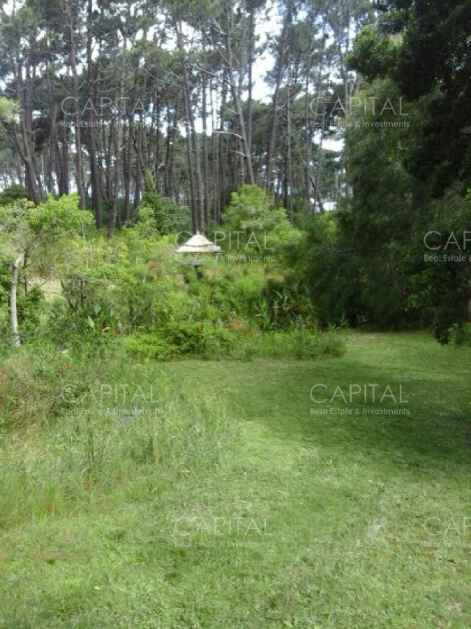 Casa ID.25497 - Cabaña en un entorno natural sin igual!!