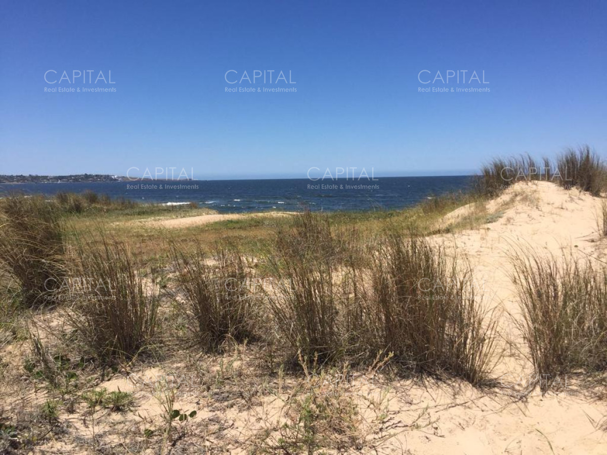 Casa ID.32706 - Casa de cinco dormitorios en la playa, Punta Ballena - Tio tom.