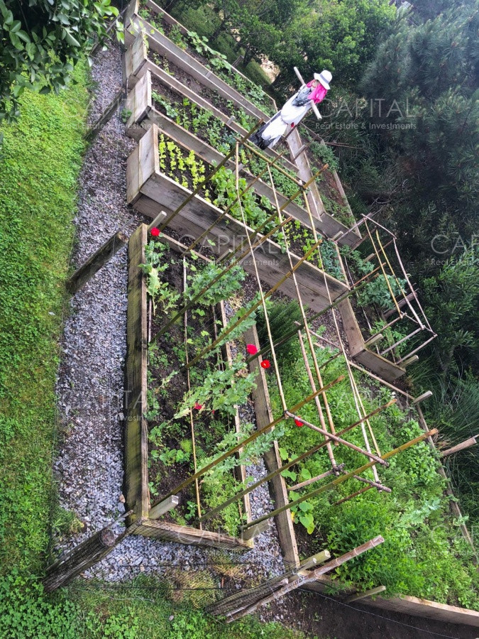 Casa ID.25894 - Espectacular casa en La Barra con gran parque con divina vista al  bosque  