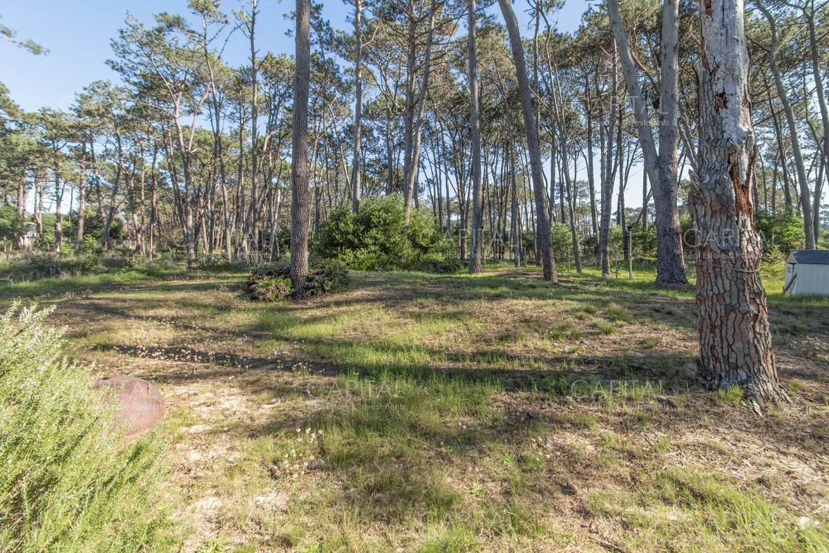 Casa ID.31613 - Laguna Blanca Casa en Venta 