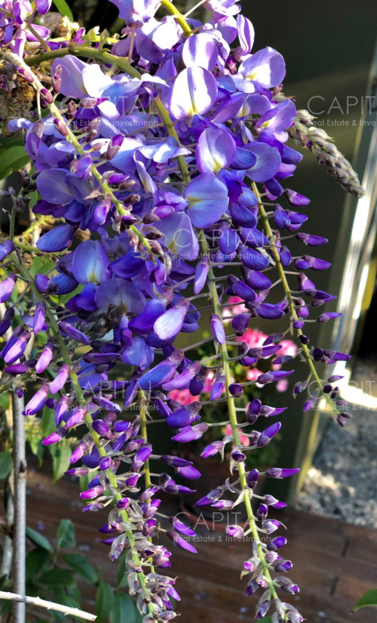 Casa ID.25894 - Espectacular casa en La Barra con gran parque con divina vista al  bosque  