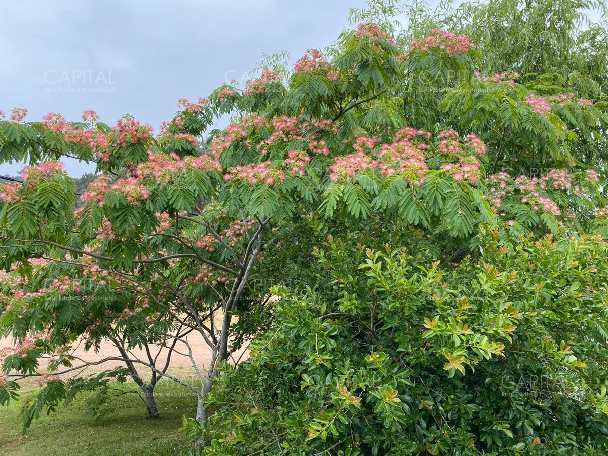 Casa ID.25894 - Espectacular casa en La Barra con gran parque con divina vista al  bosque  