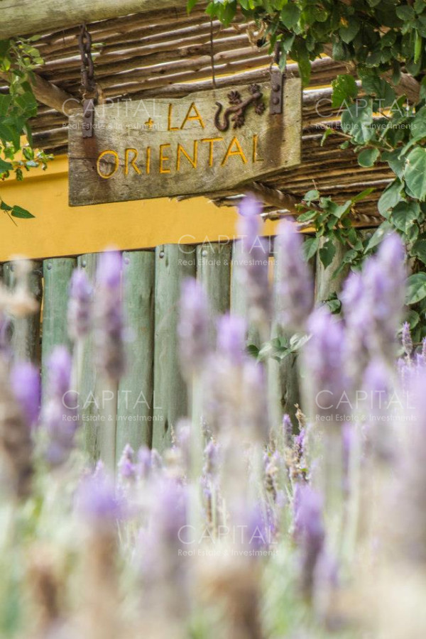 Casa ID.25448 - Casa en venta primera linea frente al mar en Altos de Punta Piedra