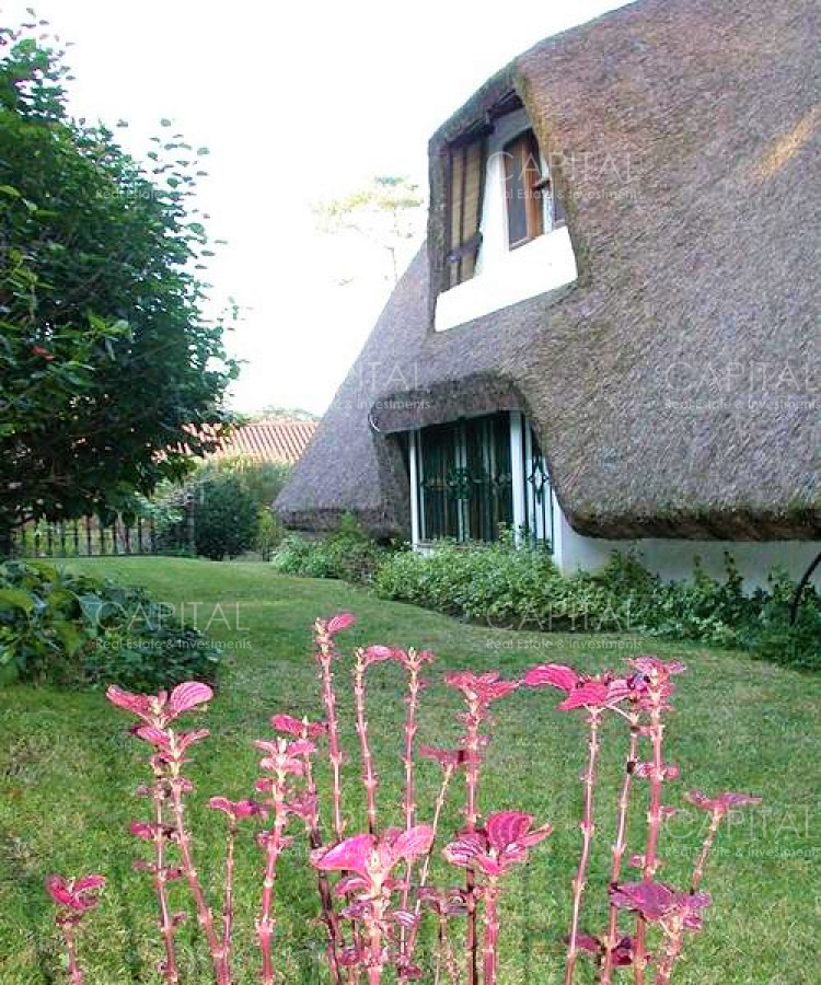 Muy linda cabaña en San Rafael - Alquiler Punta del Este - CCP24782C