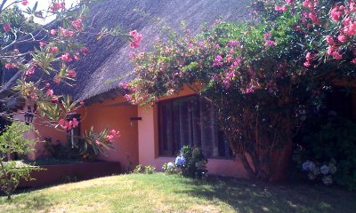 Muy linda casa de 3 dormitorios en La Barra