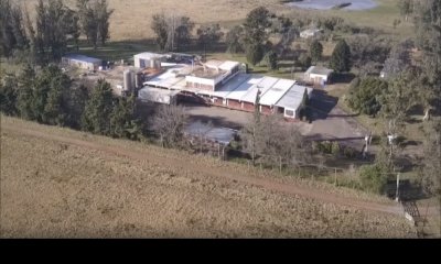 Galpones Industriales en Venta en Maldonado