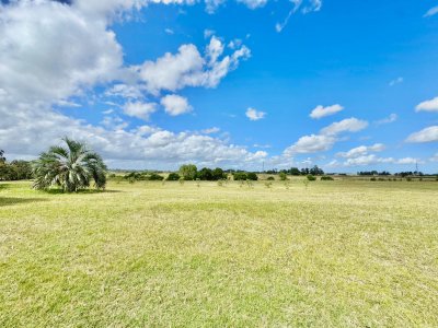 chacra en ruta 104 de 5 hectáreas con moderna casa  - ccp37032h