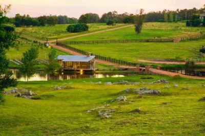 chacra en mangrullos de punta piedras - ccp26483h