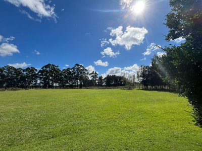 chacras del este, chacra en venta la barra  - ccp36089h