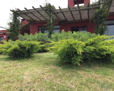 chacra en mangrullos de punta piedras - ccp26483h