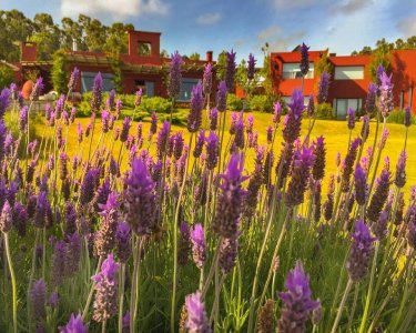 chacra en mangrullos de punta piedras - ccp26483h