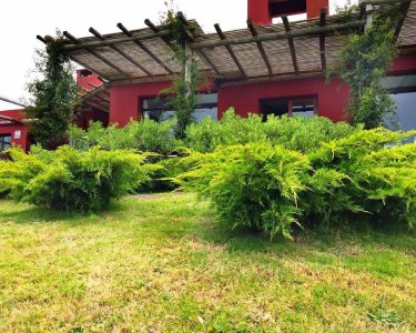 chacra en mangrullos de punta piedras - ccp26483h