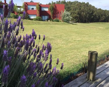 chacra en mangrullos de punta piedras - ccp26483h