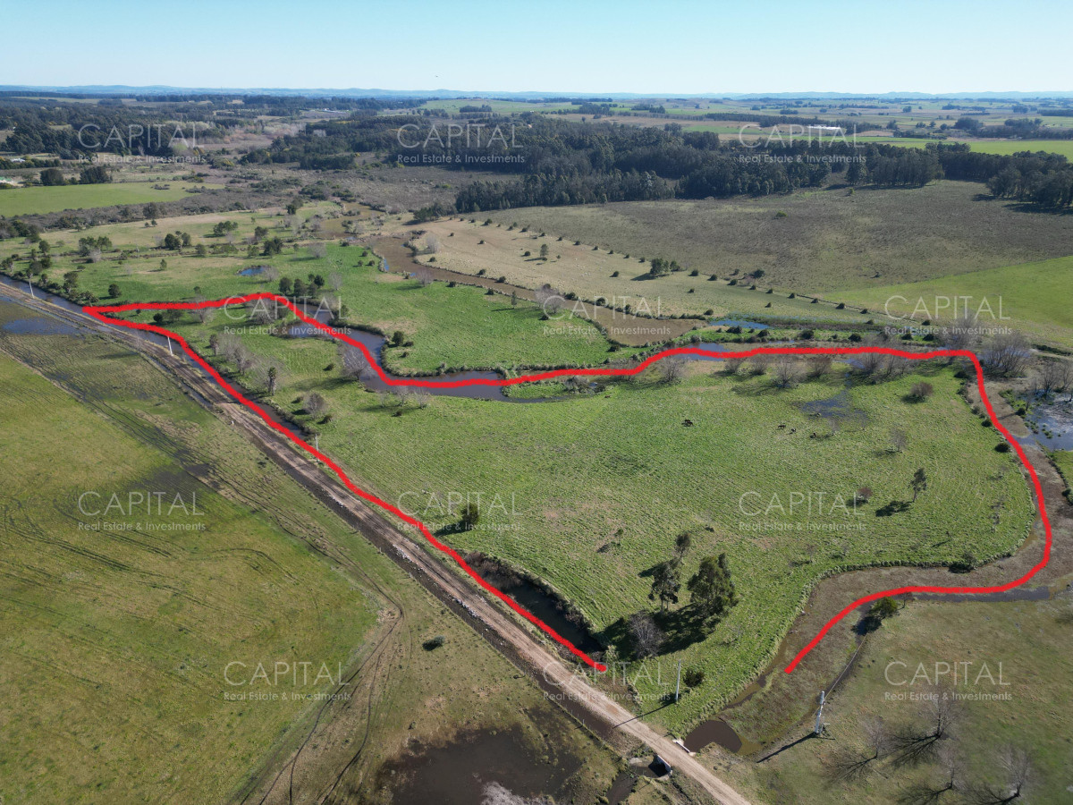 Chacra de 5 has próxima a ruta 104 próximo a MACA ,Pueblo Mío, NARBONA La Plantación   - CCP38869H