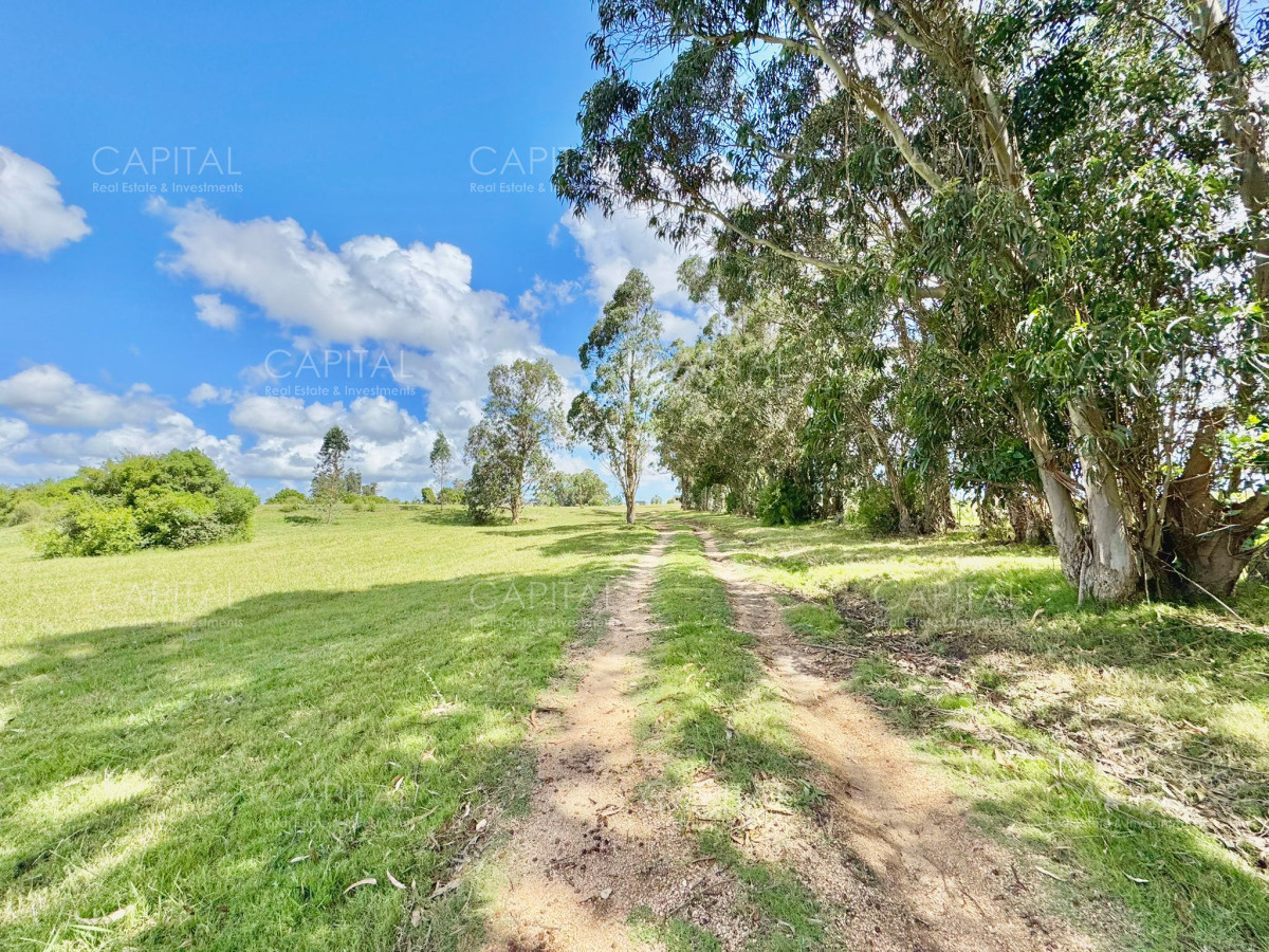 Chacra ID.37032 - Chacra en Ruta 104 de 5 hectáreas con moderna casa 