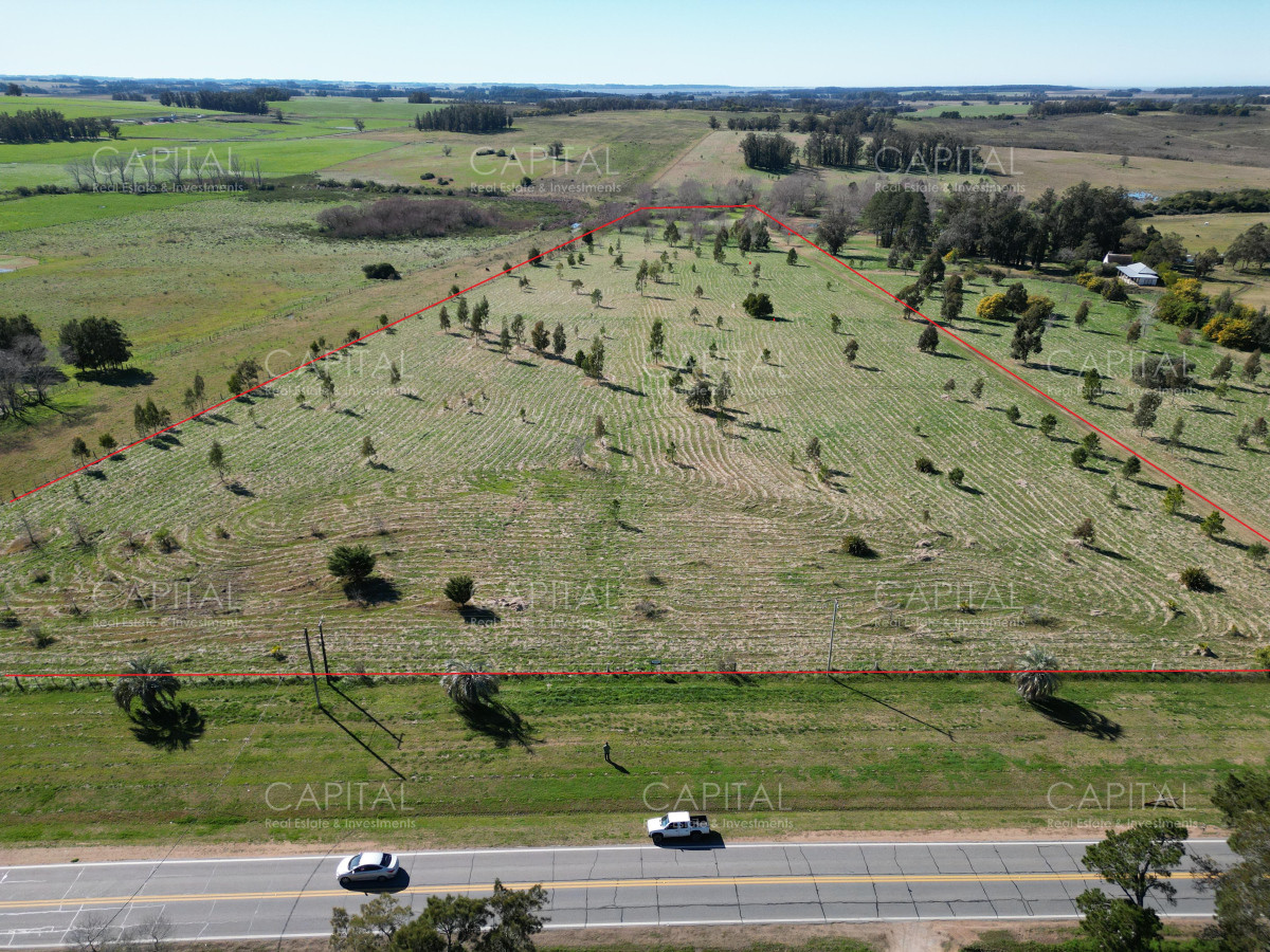 Chacra de 5 has sobre ruta 104 próximo Pueblo Mío, NARBONA La Plantación   - CCP38835H