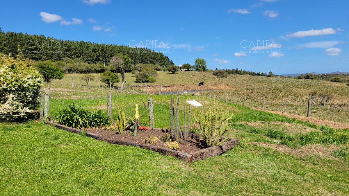 Chacra ID.35103 - Chacra en venta Sierras de Maldonado - Uruguay.