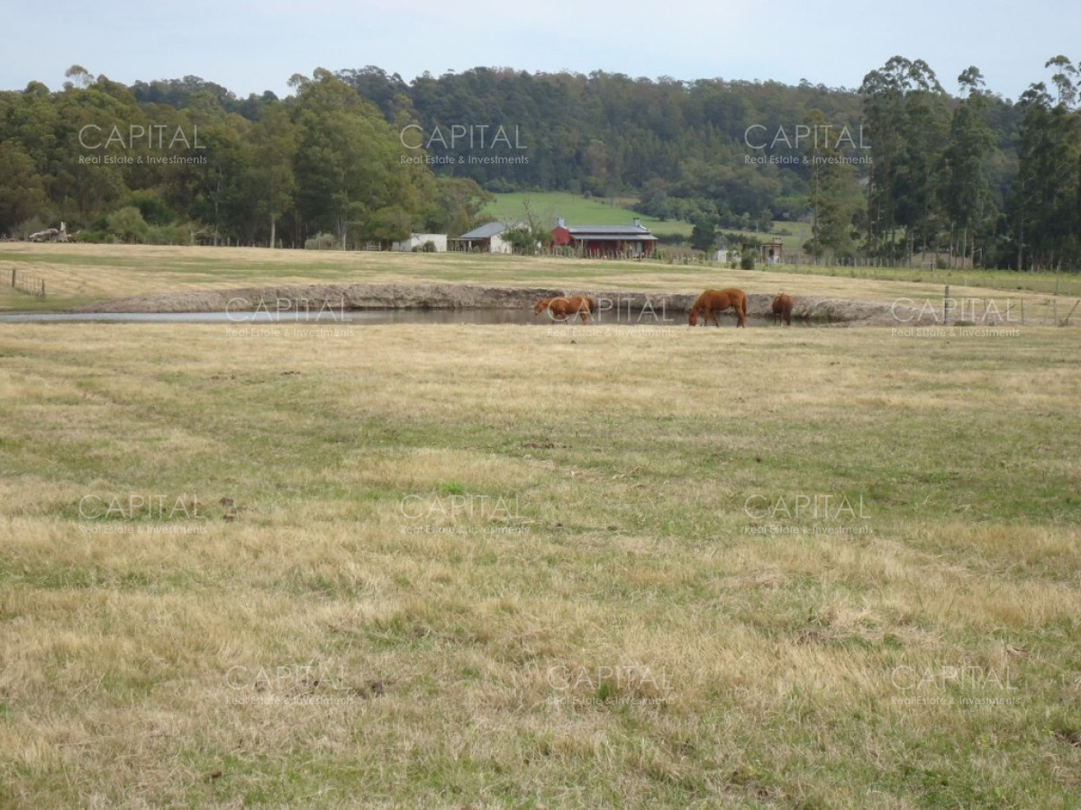 Chacra ID.27664 - Excelente Chacra en venta en zona de La Pataia